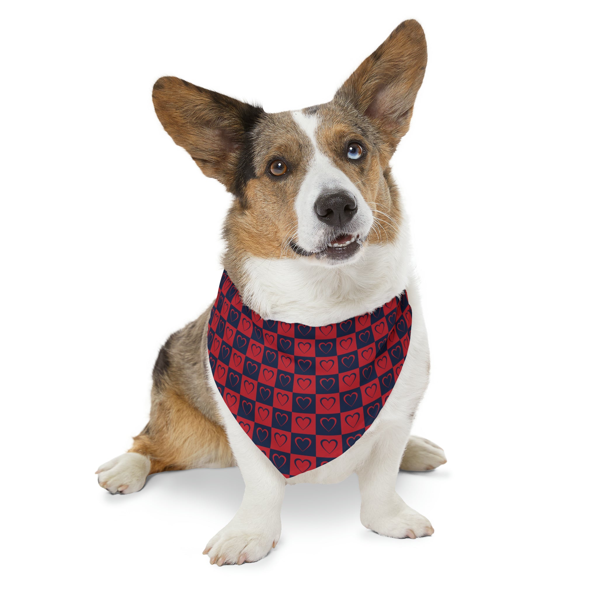 DC Hockey Themed Pet Bandana | Comes in Different Sizes for Different Breeds | Free Shipping