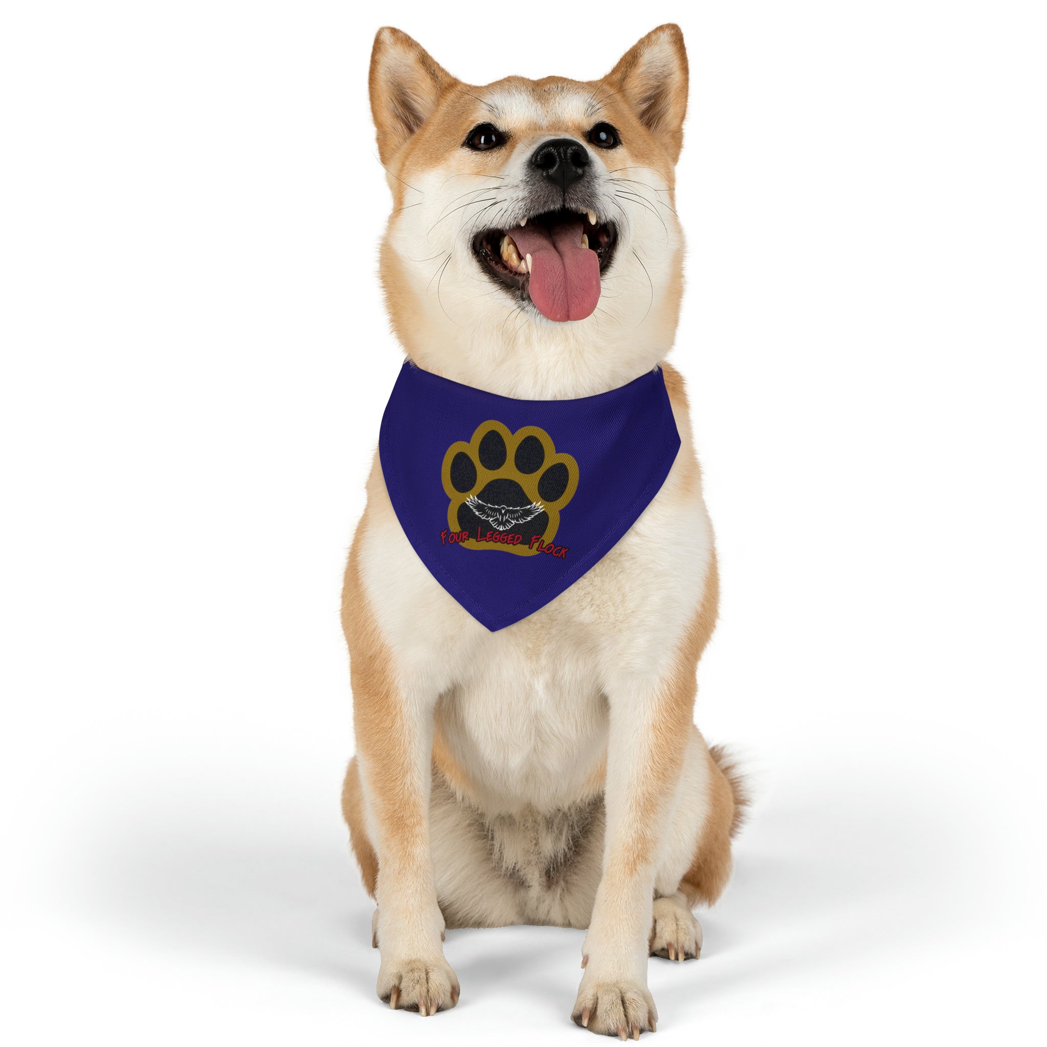 Baltimore Football Pet Bandana | Four Legged Flock Pet Bandana Collar | Free Shipping!