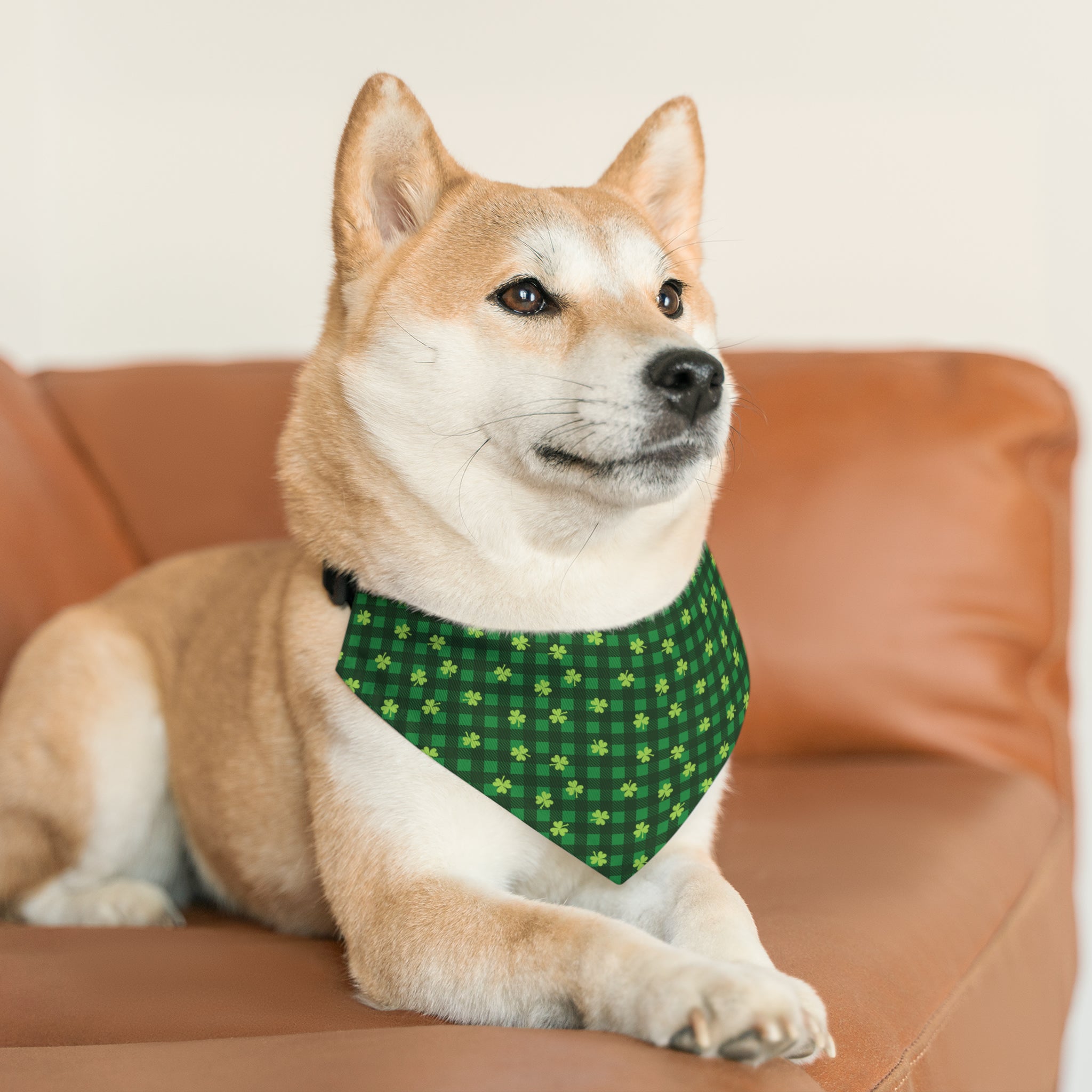 Pet Bandana for St. Patrick's Day | Comes in Different Sizes for Different Breeds | Free Shipping
