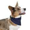 Load image into Gallery viewer, Baltimore Football Pet Bandana | Comes in Different Sizes for Different Breeds | Free Shipping