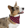 DC Hockey Themed Pet Bandana | Comes in Different Sizes for Different Breeds | Free Shipping