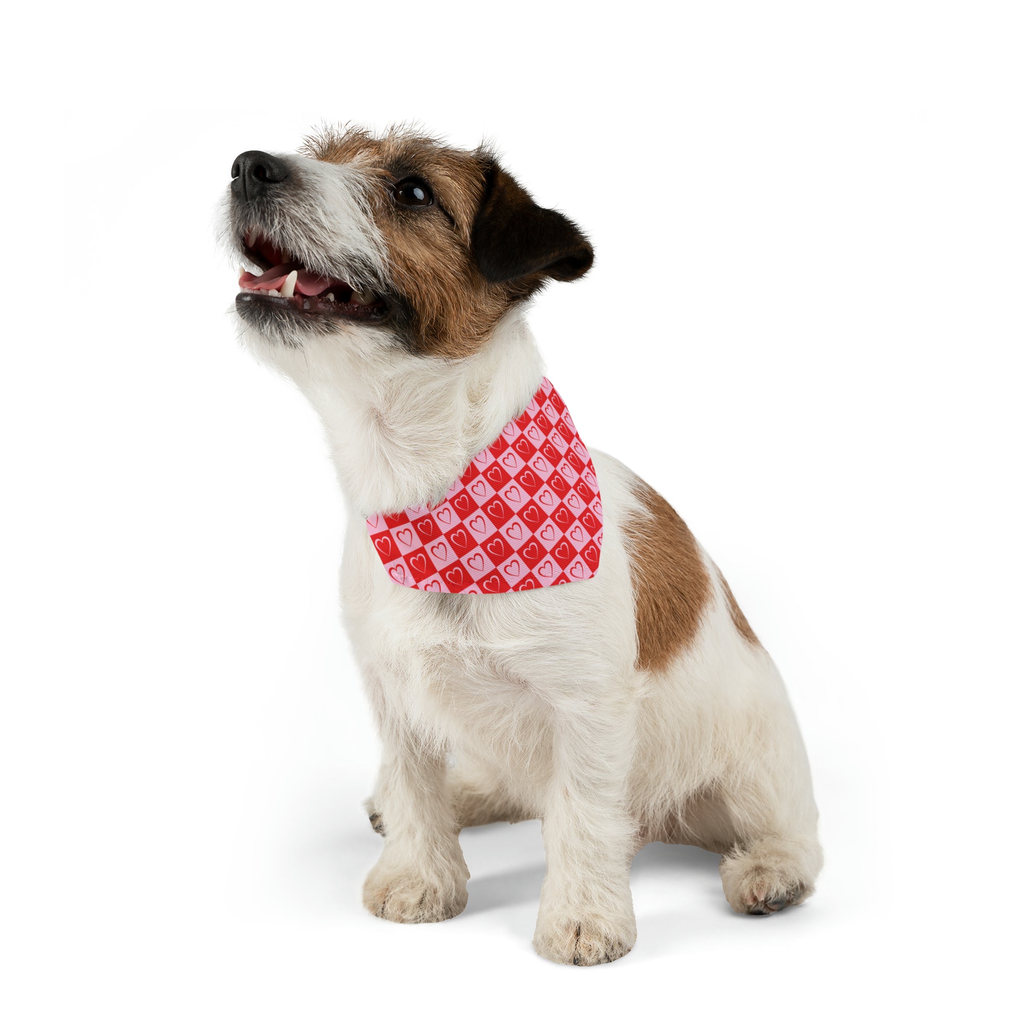 Valentine's Day Pet Bandana Collar | Comes in Different Sizes for Different Breeds | Free Ship