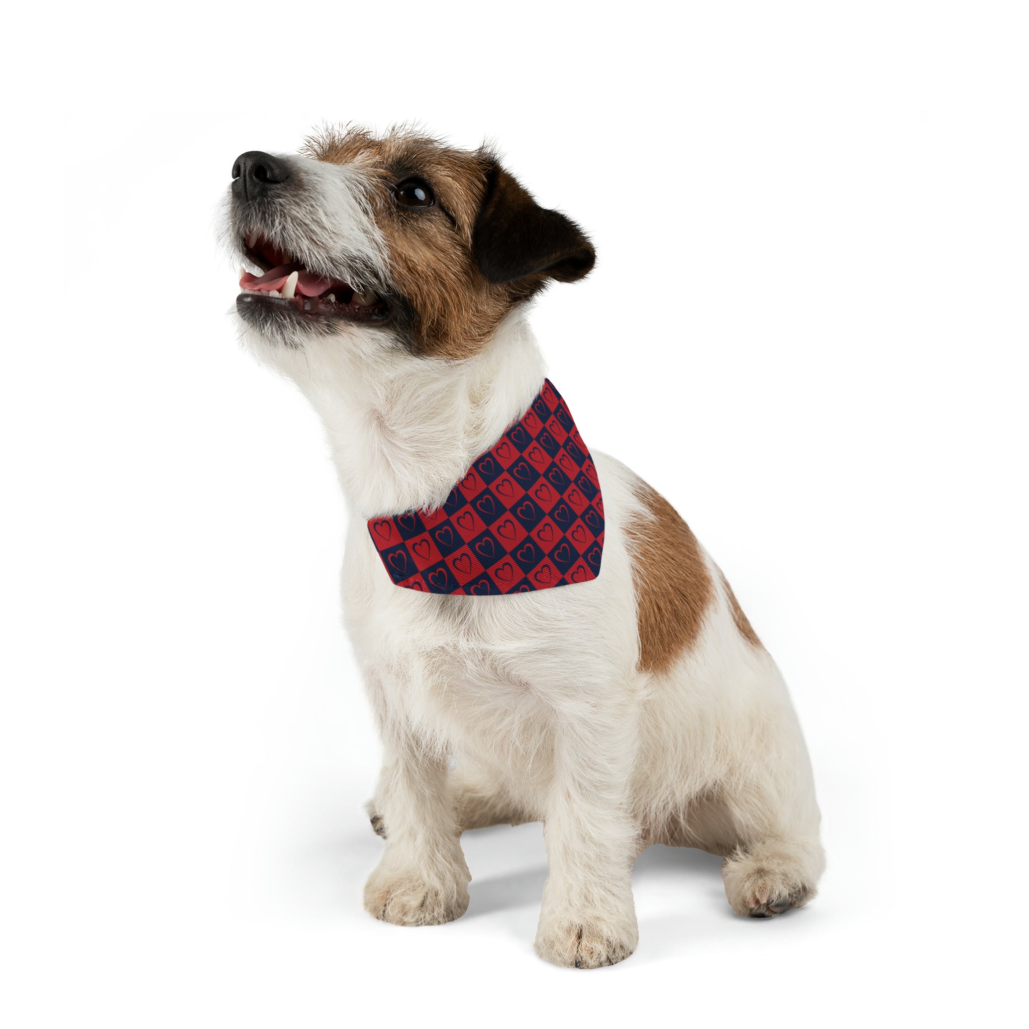 DC Hockey Themed Pet Bandana | Comes in Different Sizes for Different Breeds | Free Shipping